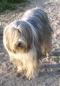 Poupee Au royaume d'endjy